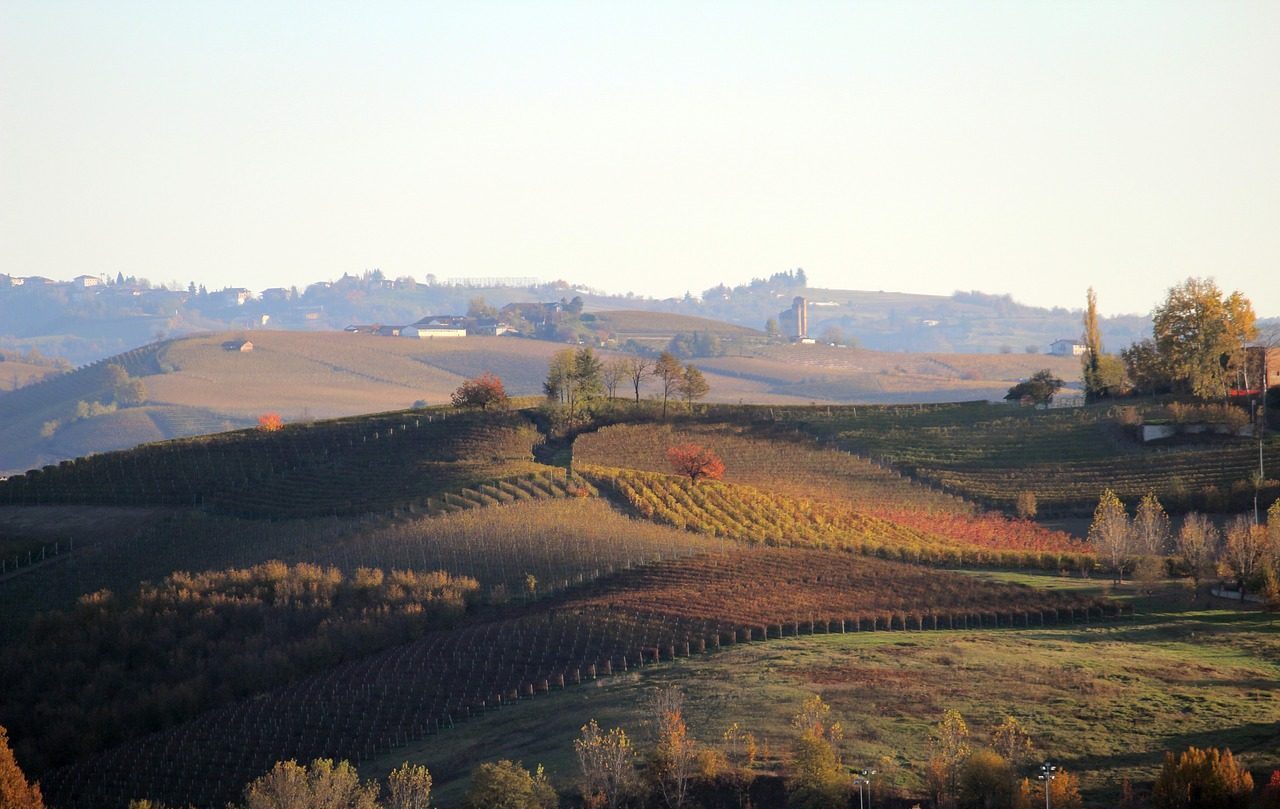 Langhe, Piamonte