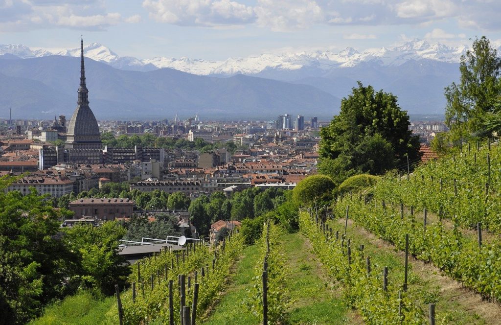 Vinos de Piamonte, Italia